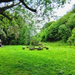 Große Wiese im SinnesWald
