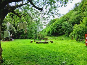 Große Wiese im SinnesWald