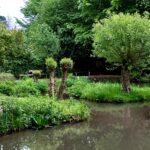 Mühlenteich im SinnesWald