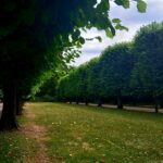Schloßpark
