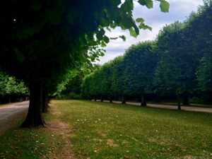 Schloßpark